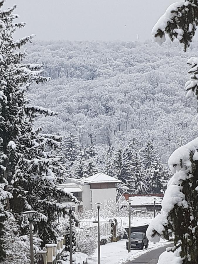 Amaretto Szallas Miskolc Exteriör bild